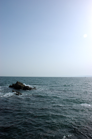 d0069465_9271844.jpg