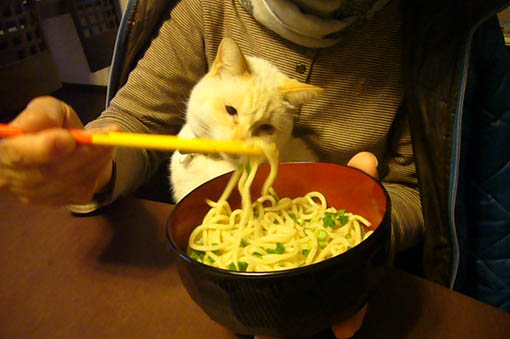 simon likes grand-ma._c0153966_22194135.jpg