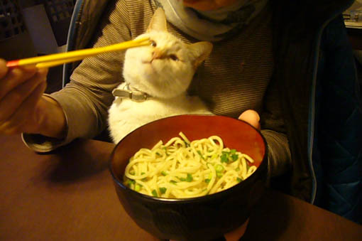 simon likes grand-ma._c0153966_22195425.jpg