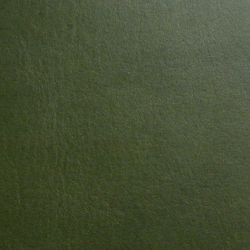 カラーサンプル_a0145469_026292.jpg
