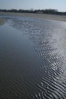 海・風・太陽_a0169172_66778.jpg