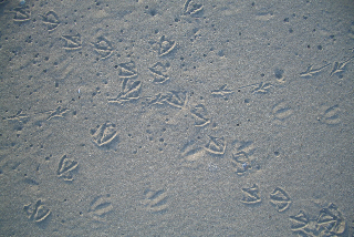 海・風・太陽_a0169172_67245.jpg