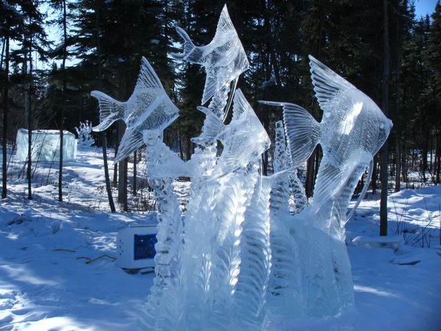 b0178275_5432845.jpg