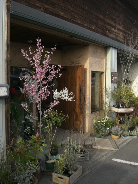パンとご膳と草木。_a0164280_75748100.jpg