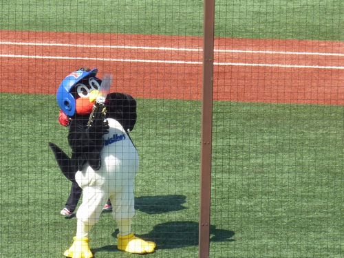 プロ野球オープン戦　ヤクルト対日本ハム観戦してきました_e0157386_201658.jpg