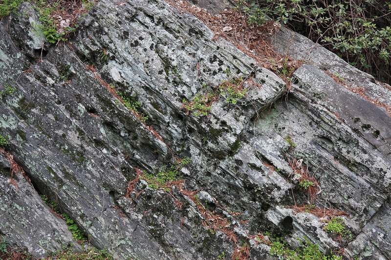 f0140087_06595.jpg