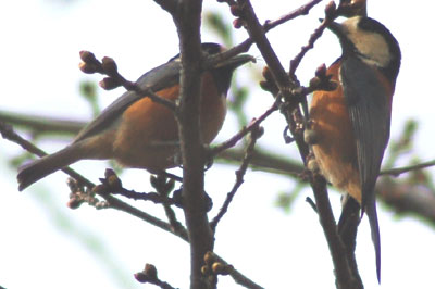 c0047589_16445087.jpg