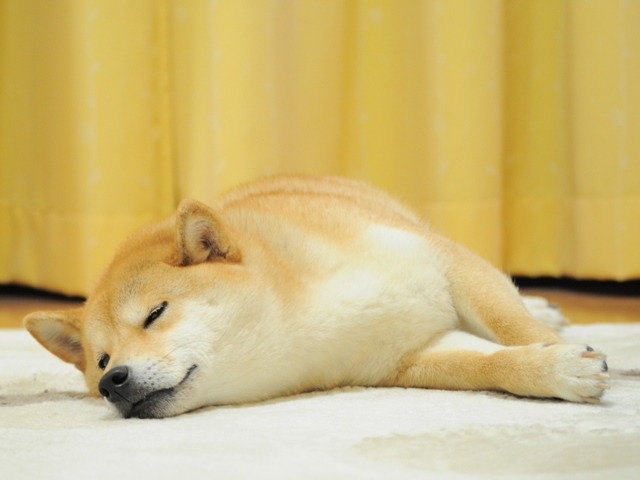 起きて!起きて!_a0126590_23162719.jpg
