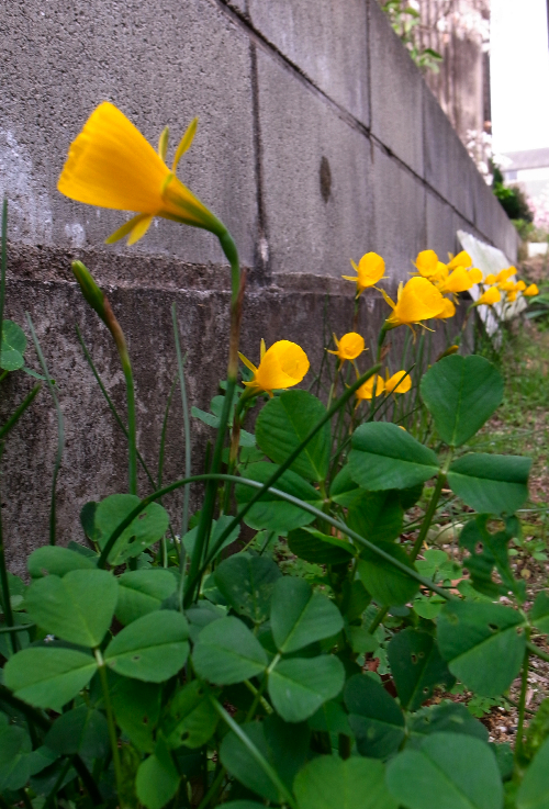 c0136092_23394710.jpg