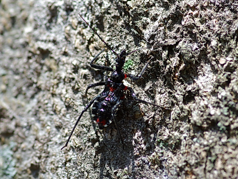 f0204094_9373332.jpg