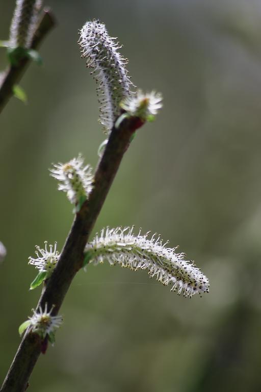d0069495_23161016.jpg