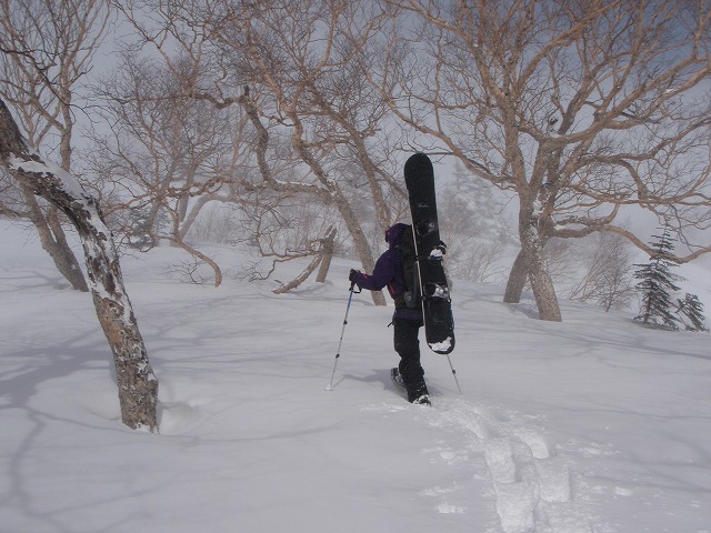 c0147398_02153100.jpg