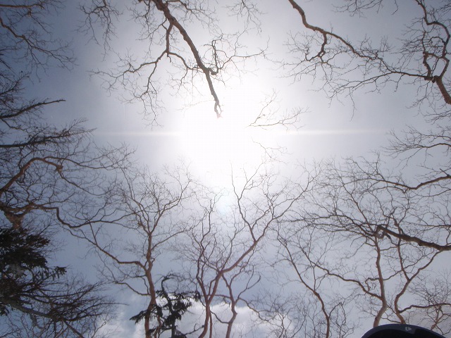c0147398_021683.jpg