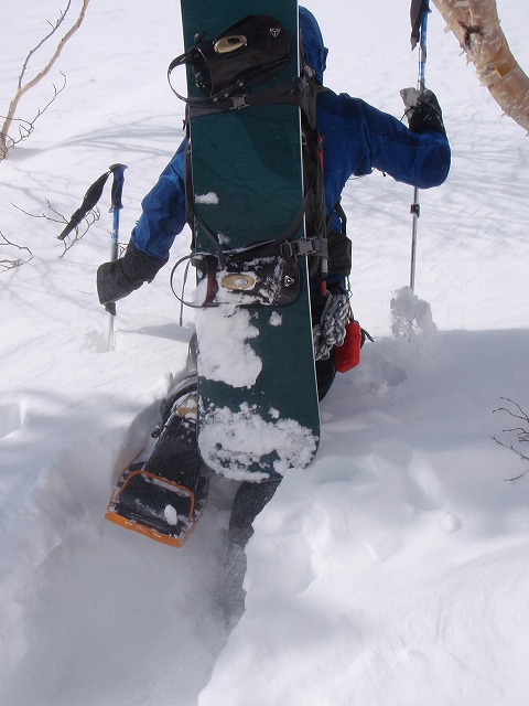 c0147398_022286.jpg