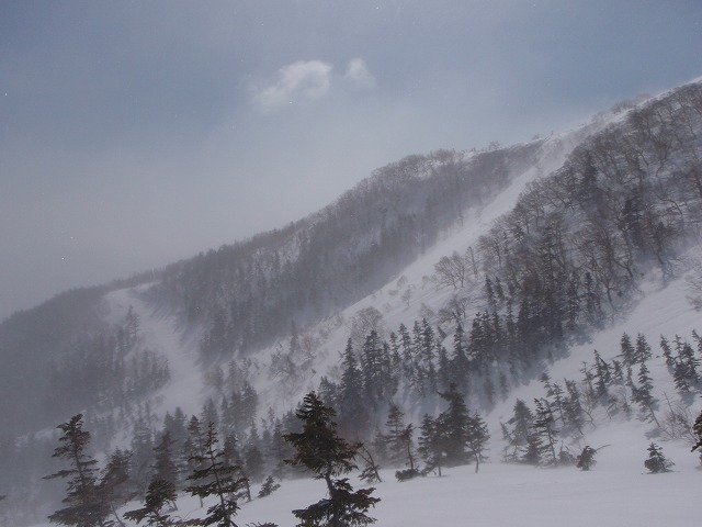 c0147398_0224367.jpg