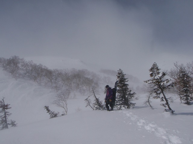 c0147398_0225634.jpg