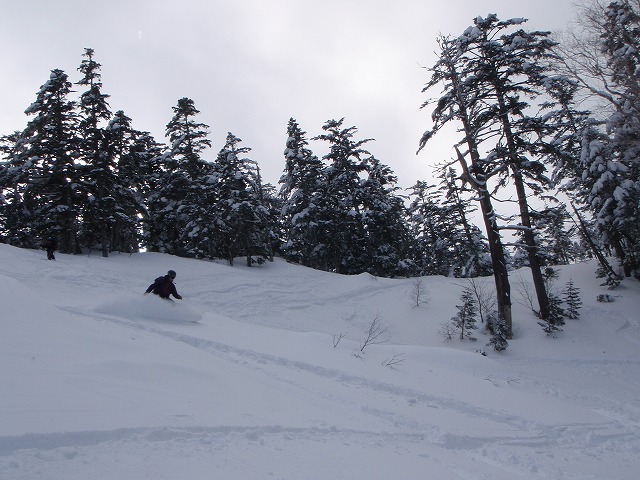 c0147398_0263161.jpg