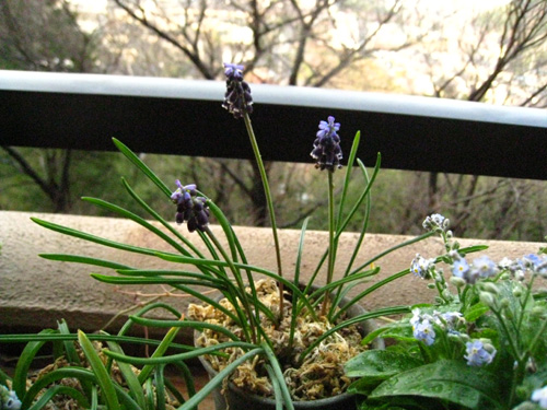 c0227800_81624100.jpg