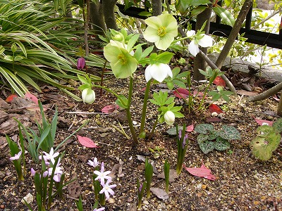 a0123003_183182.jpg