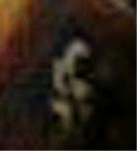 e0103408_1729325.gif