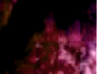 e0103408_17294829.gif