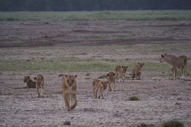 ケニヤ・さようならモラトリアム旅行‐7_e0168109_2242399.jpg