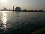 a0154912_15282359.jpg