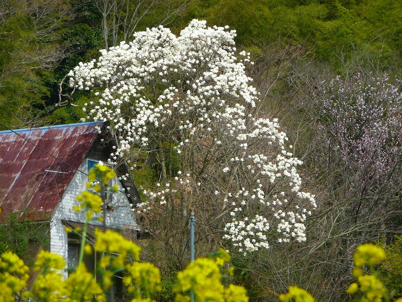 f0182513_10375061.jpg