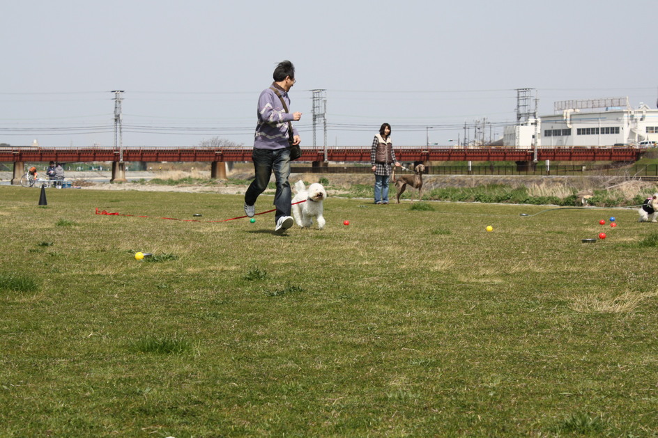 f0163116_12473.jpg
