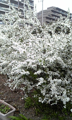 f0219716_15571296.jpg