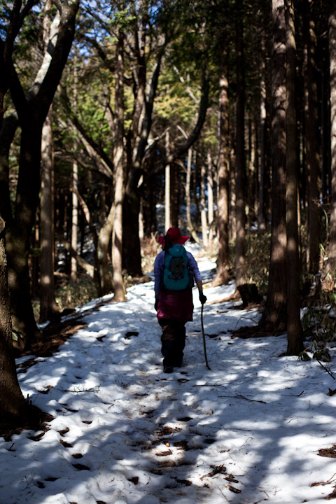 甘草水から三国山山頂_e0051018_1229254.jpg