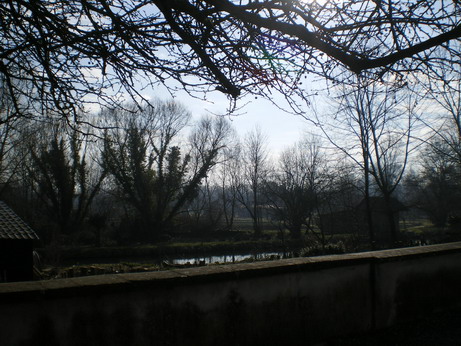 c0124619_22345630.jpg
