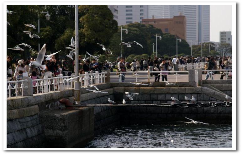 《横浜物語P－３》山下公園／赤い靴号に乗って散策_b0033423_2350646.jpg
