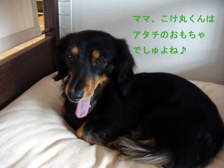 c0117831_20122076.jpg