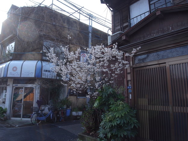 b0117832_84152.jpg