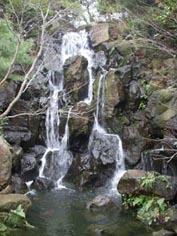 f0045132_981055.jpg