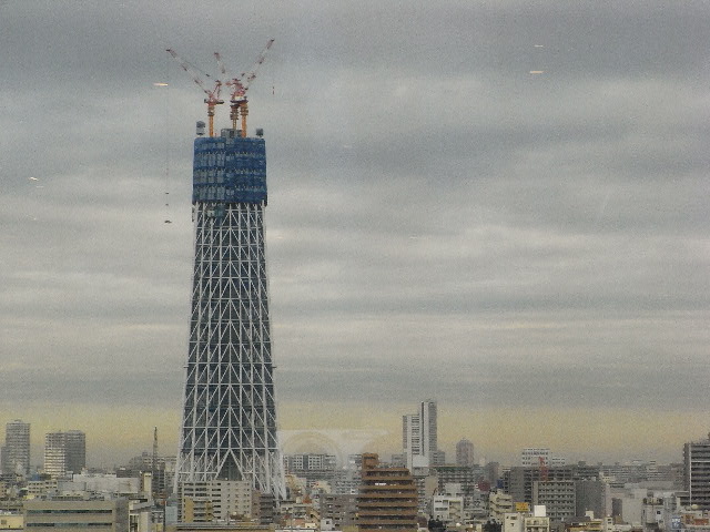 3月16日(火) スカイツリー再び_d0082944_2043895.jpg