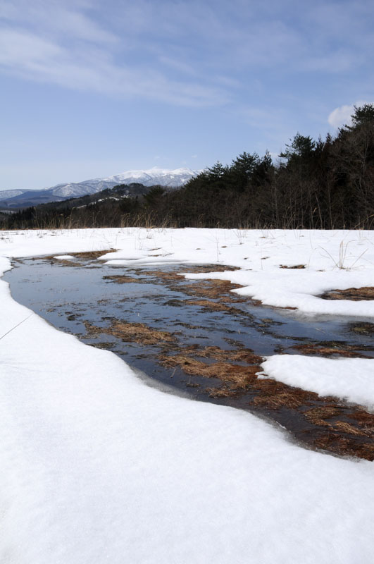 雪解けの頃_d0094150_23251464.jpg