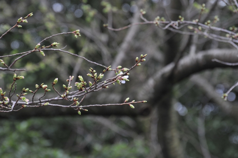 手向山公園へポタリング_e0196858_21351521.jpg