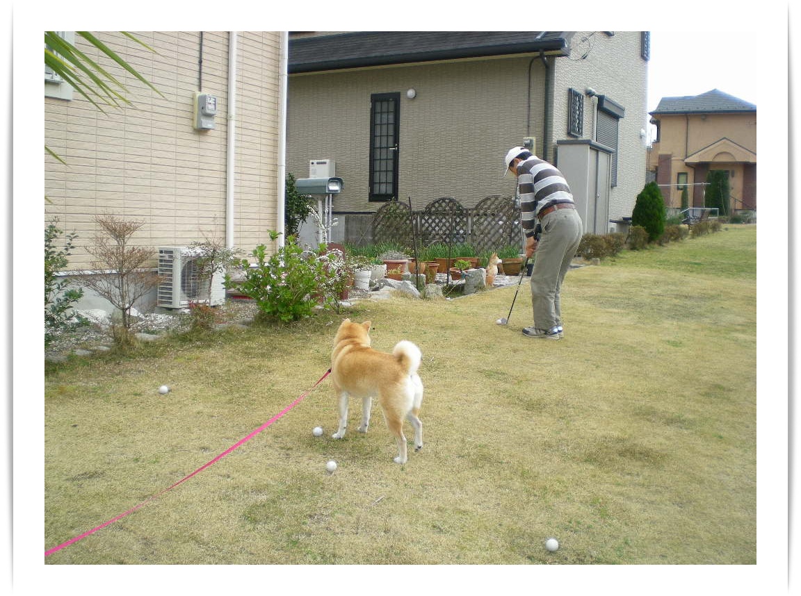 2010年3月16日(火)パパは愛ちゃんとゴルフ!_f0060461_10285341.jpg