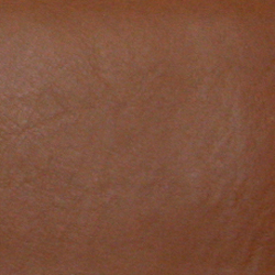 カラーサンプル_a0145469_02544.jpg