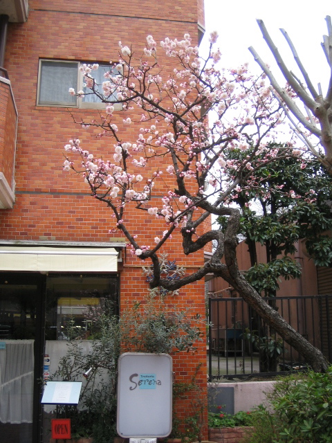 打ち合わせ_d0118071_21102348.jpg