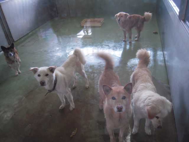 f0225871_20214559.jpg