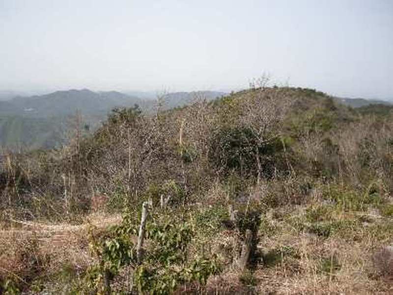 b0185573_17344212.jpg