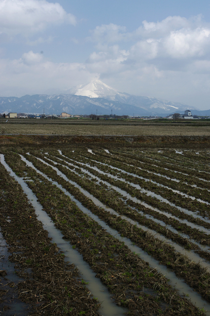 湖北の思い出に・・・_f0192778_19345031.jpg