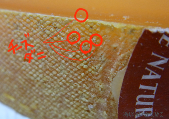 チーズダニ ミモレットを発酵させる者 むいむいのお時間 チーズダニ ミモレットを発酵させる者 むいむいのお時間