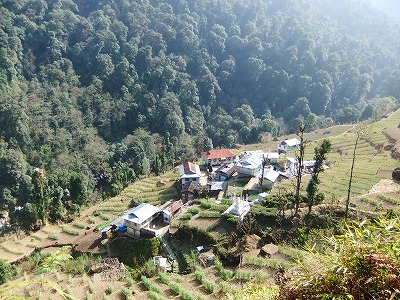 b0164382_1954219.jpg