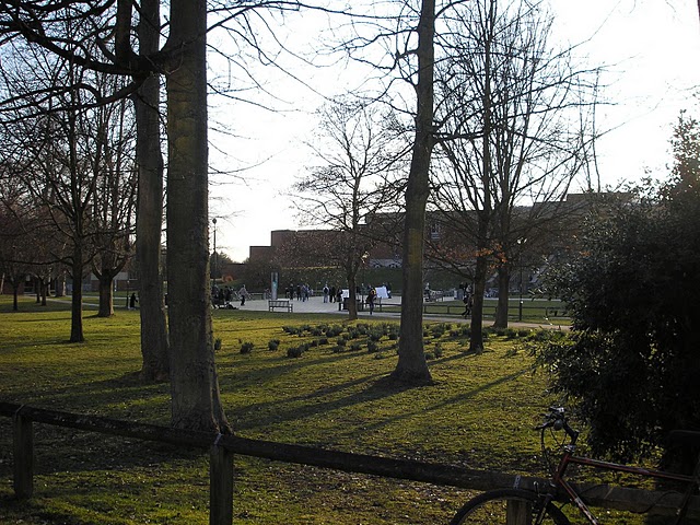 e0195686_8172237.jpg