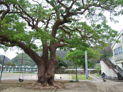 e0028387_2327155.jpg