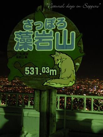 もいわ山の夜景_a0124689_1422577.jpg